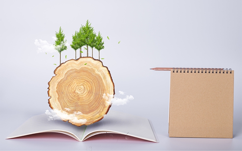 關于紙的知識，你平時知多少